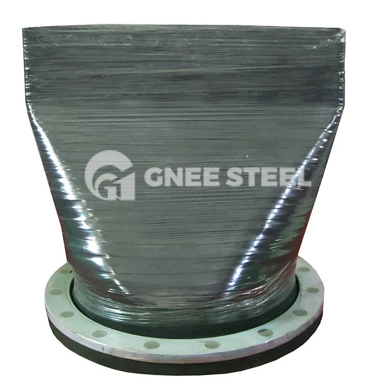 „Duckbill“ patikrinkite vožtuvą