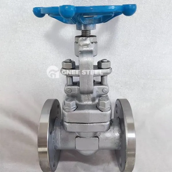 API 602 „Globe“ vožtuvai