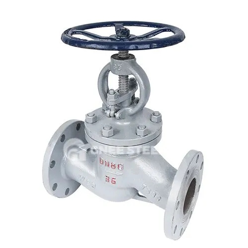 Katilo gaublio vožtuvas