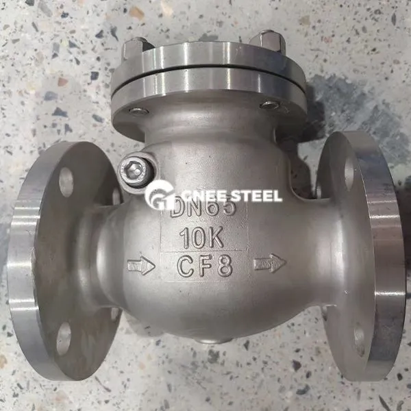 Anglies plieno ANSI 300 Sūpynės patikrinimo vožtuvas