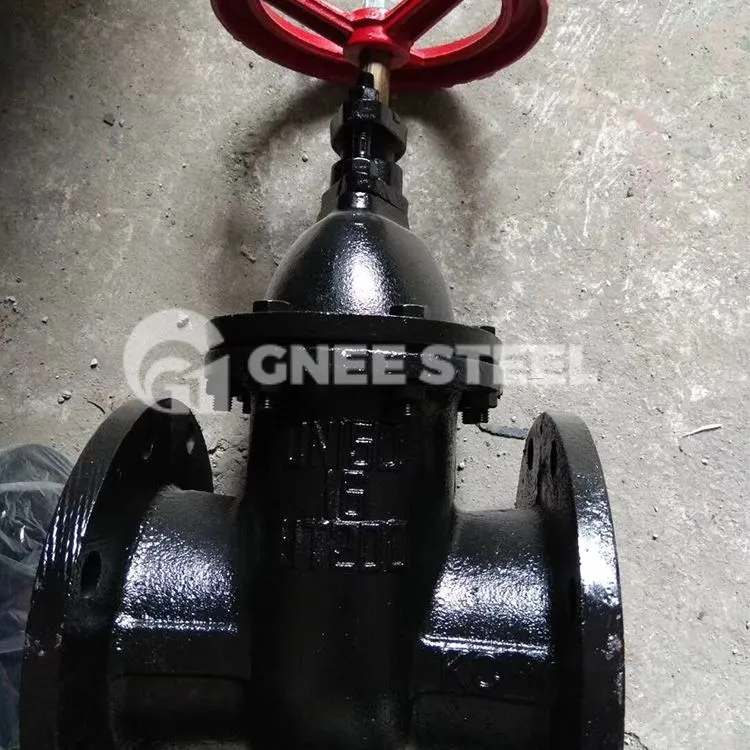 Ketaus vartų vožtuvai