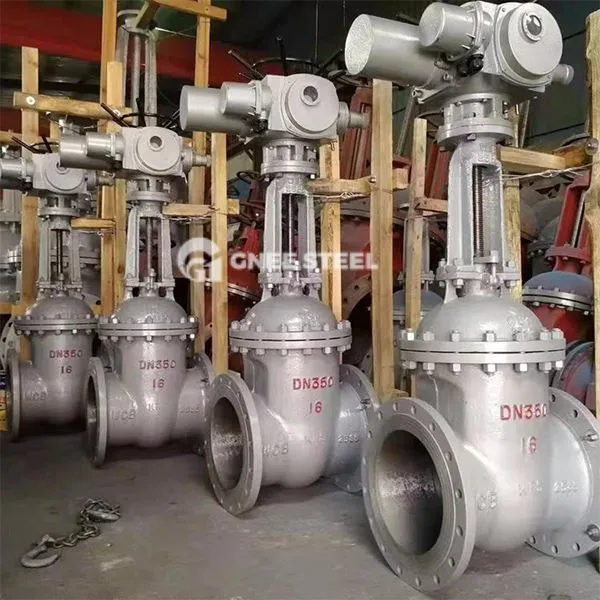 Elektrinis pleišto vartų vožtuvai