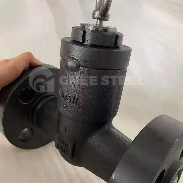 Kaltinio plieno flanšinio galo stūmoklio atbulinis vožtuvas