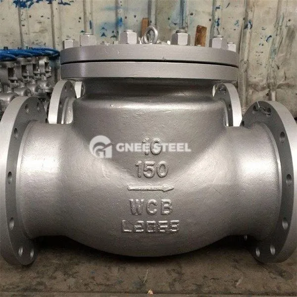 Dujų linijos patikrinimo vožtuvas